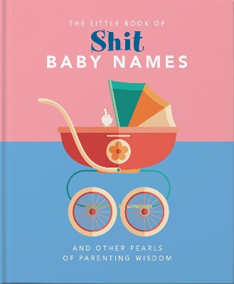 Book cover for The Little Book of Shit Baby Names
