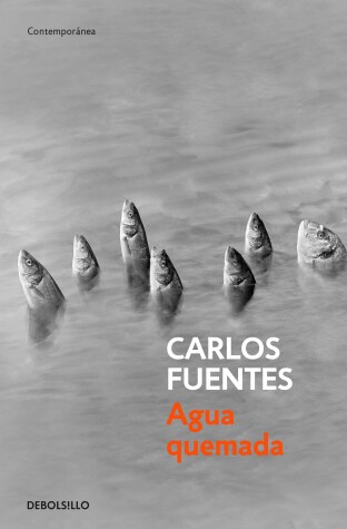 Book cover for Agua quemada / Burn Water