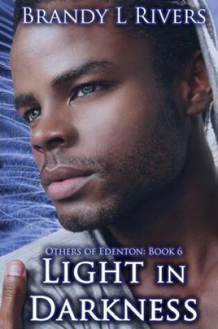 Cover of Light in Darkness