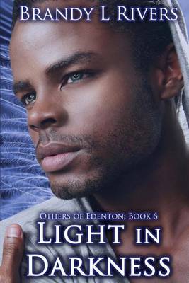 Book cover for Light in Darkness