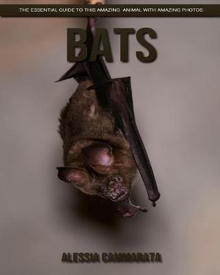 Book cover for Bats