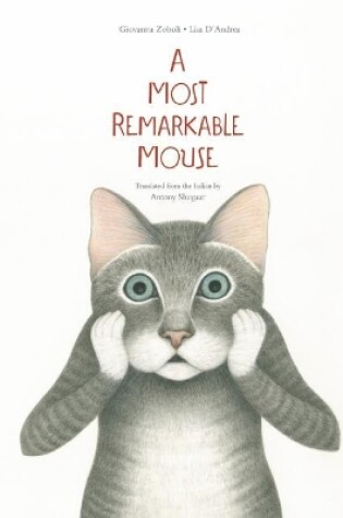 Cover of A Most Mysterious Mouse