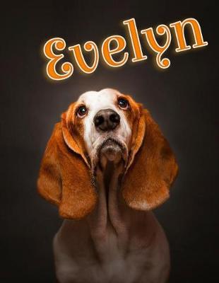 Book cover for Evelyn