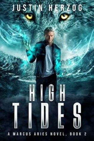 Cover of High Tides