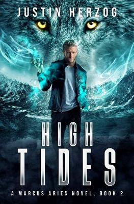 Book cover for High Tides