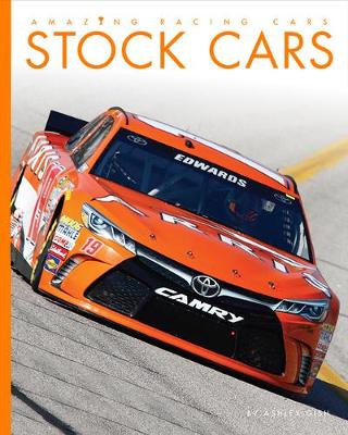 Cover of Stock Cars