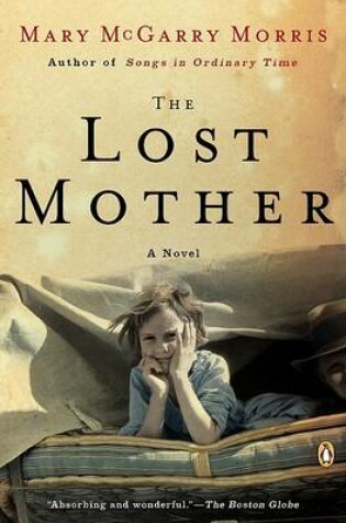 Cover of The Lost Mother