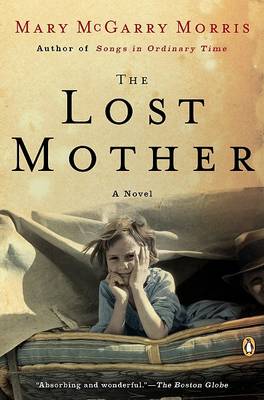 Book cover for The Lost Mother