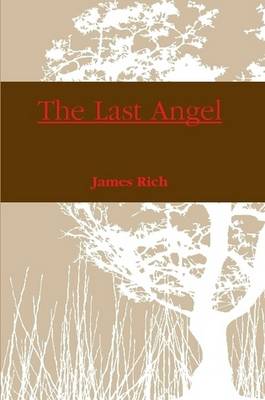 Book cover for The Last Angel