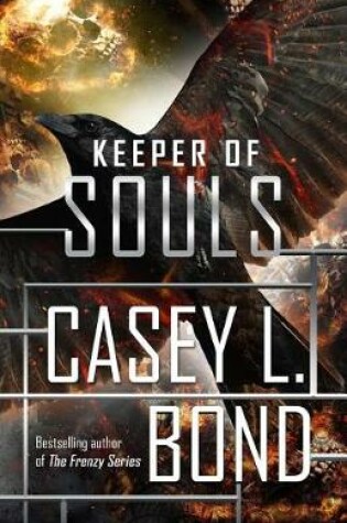 Cover of Keeper of Souls