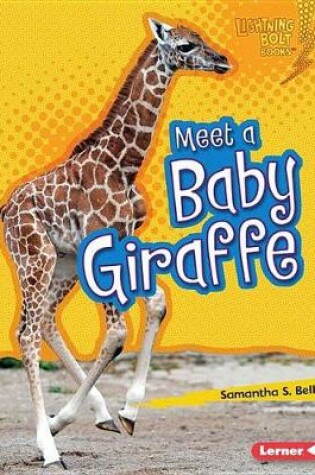 Cover of Meet a Baby Giraffe