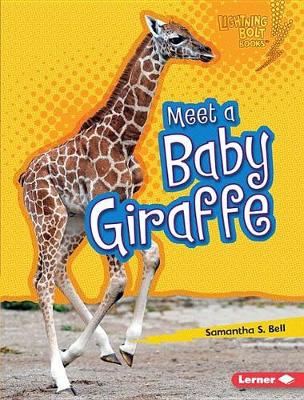 Cover of Meet a Baby Giraffe