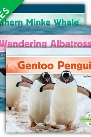 Cover of Antarctic Animals (Set)