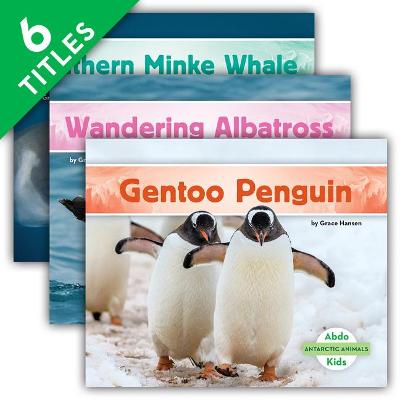 Cover of Antarctic Animals (Set)