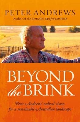 Book cover for Beyond the Brink