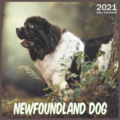 Book cover for Newfoundland Dog