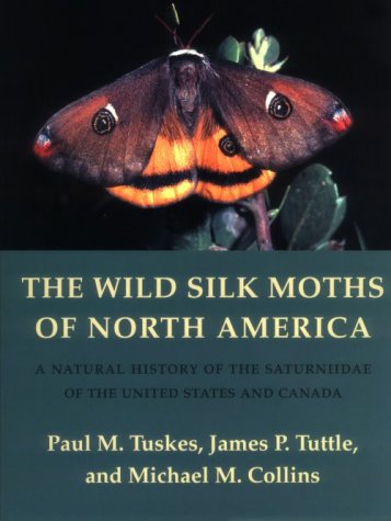 Book cover for The Wild Silk Moths of North America