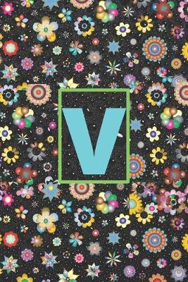 Book cover for V