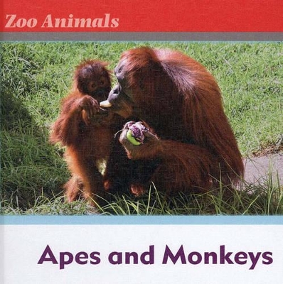 Book cover for Apes and Monkeys