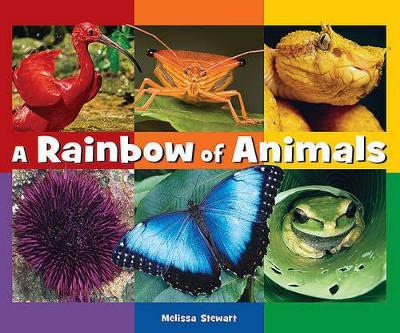 Book cover for A Rainbow of Animals