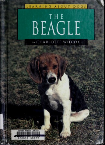 Book cover for The Beagle