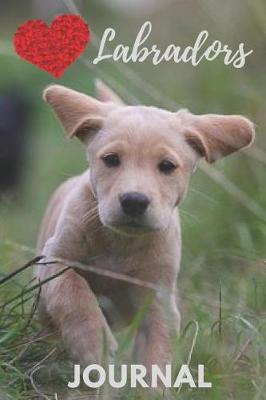 Book cover for Labrador Journal