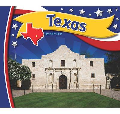 Book cover for Texas