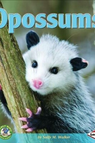 Cover of Opossums