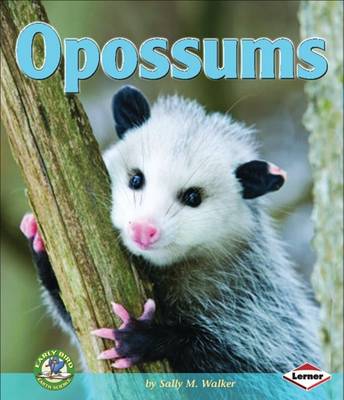 Cover of Opossums