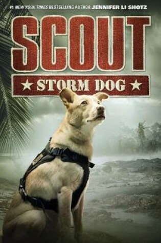Cover of Storm Dog