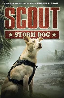 Book cover for Storm Dog