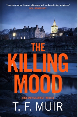 Book cover for The Killing Mood