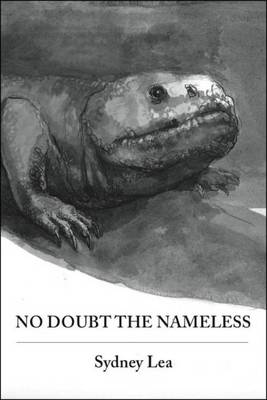 Book cover for No Doubt the Nameless