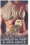 Book cover for Owl Love You