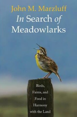 Cover of In Search of Meadowlarks