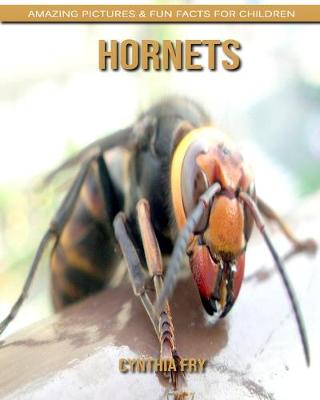 Book cover for Hornets