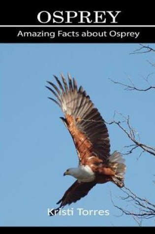 Cover of Amazing Facts about Osprey