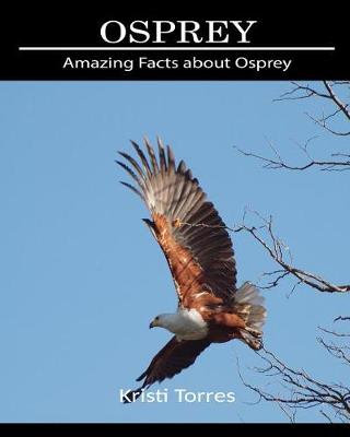 Book cover for Amazing Facts about Osprey