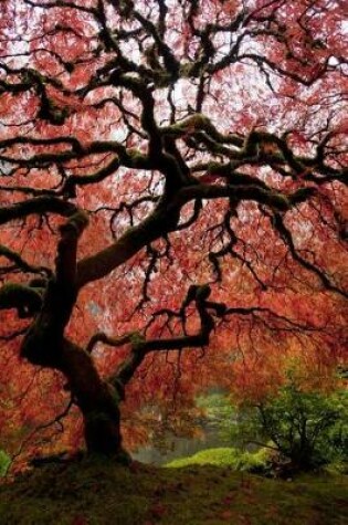 Cover of Japanese Maple Tree Journal