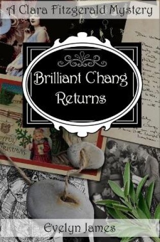 Cover of Brilliant Chang Returns