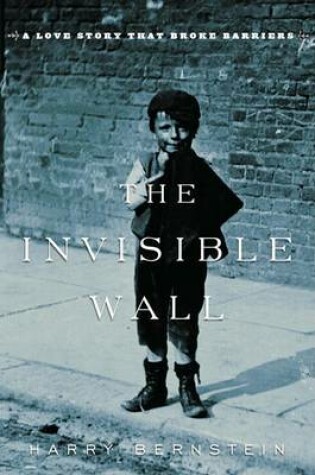 Cover of The Invisible Wall