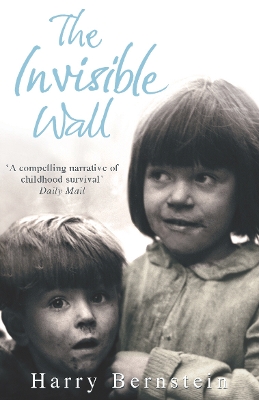 Book cover for The Invisible Wall