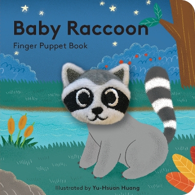 Book cover for Baby Raccoon