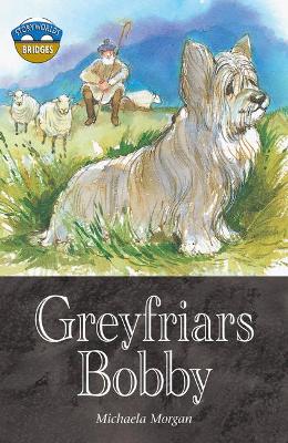 Book cover for Storyworlds Bridges Stage 12 Greyfriars Bobby (single)