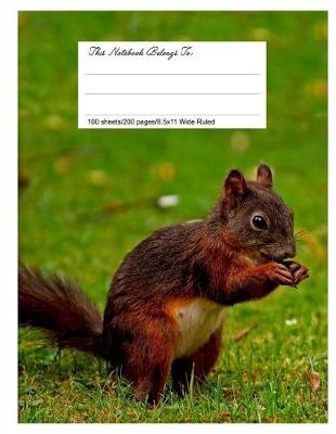 Book cover for Composition Notebook for School, 8.5.X 11, Wide Ruled, Love Squirrel