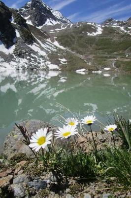 Book cover for Wildflowers and a Mountain Lake Journal