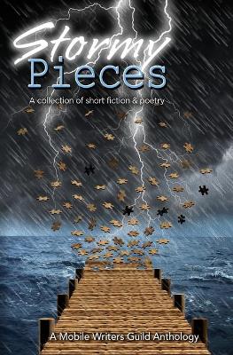Book cover for Stormy Pieces