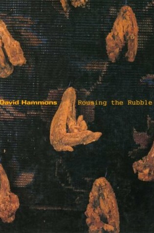 Cover of David Hammons