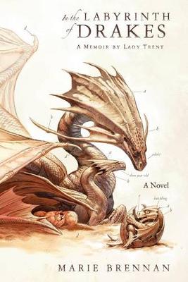 Book cover for In the Labyrinth of Drakes