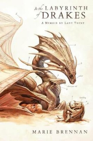 Cover of In the Labyrinth of Drakes